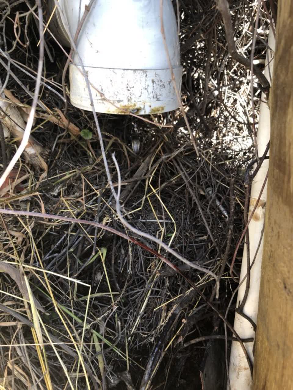 The photograph attached to this flooding report