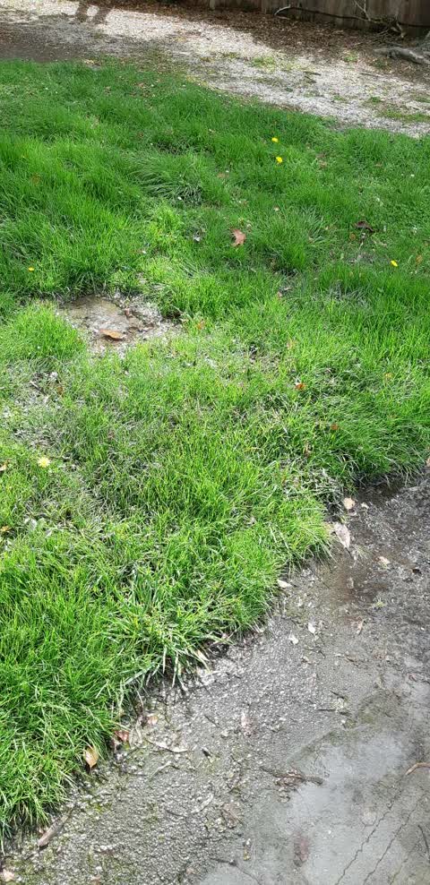 Water Supply, a report photo