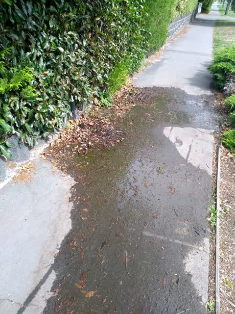 Water Supply, a report photo