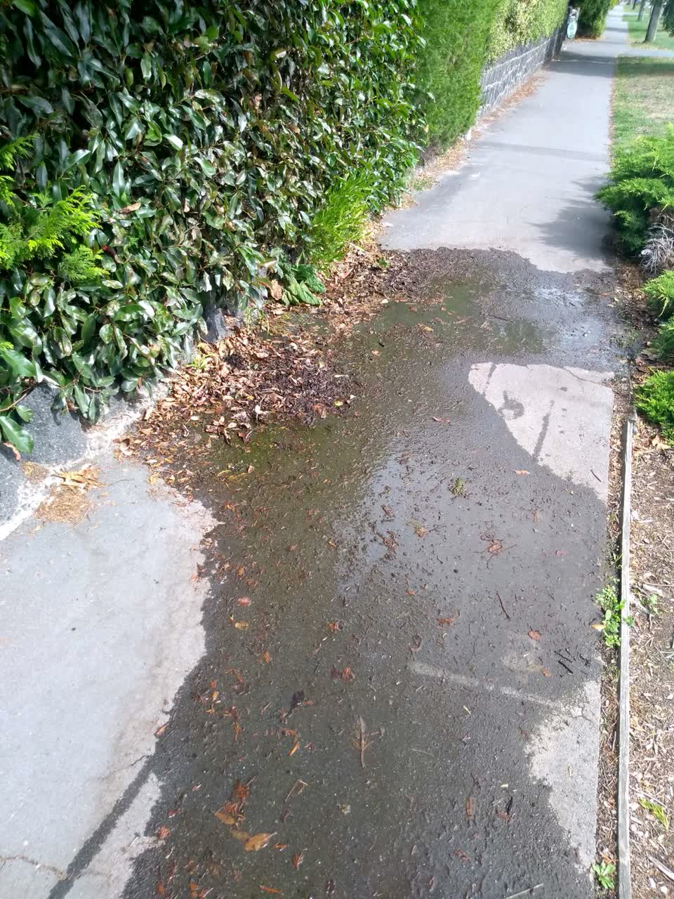 The photograph attached to this water supply report