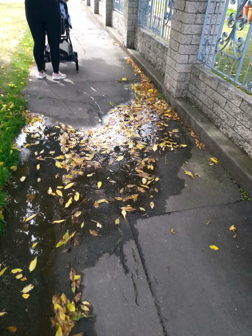 The photograph attached to this water supply report