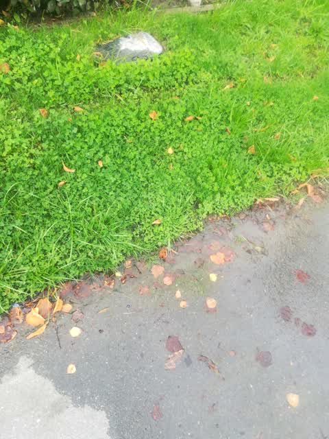 Wastewater/Stormwater, a report photo