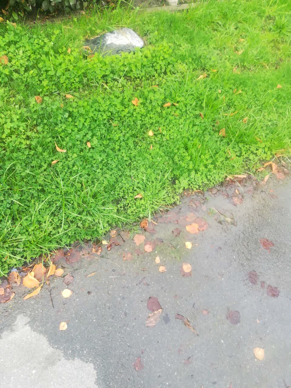 The photograph attached to this wastewater/stormwater report