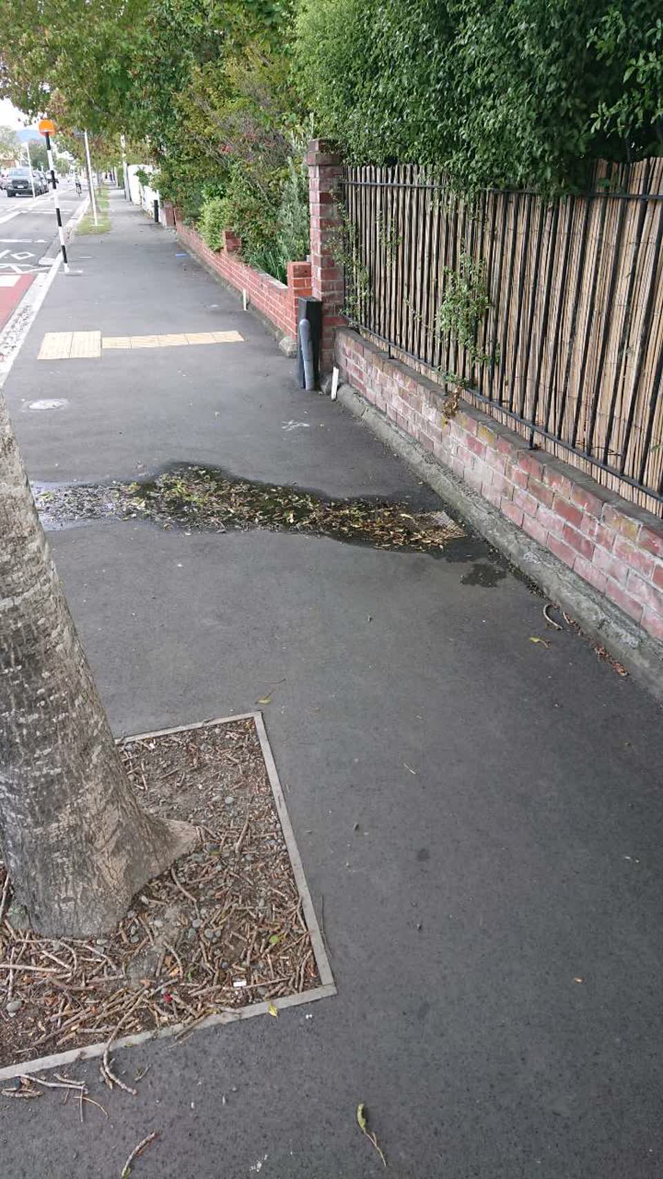 The photograph attached to this water supply report