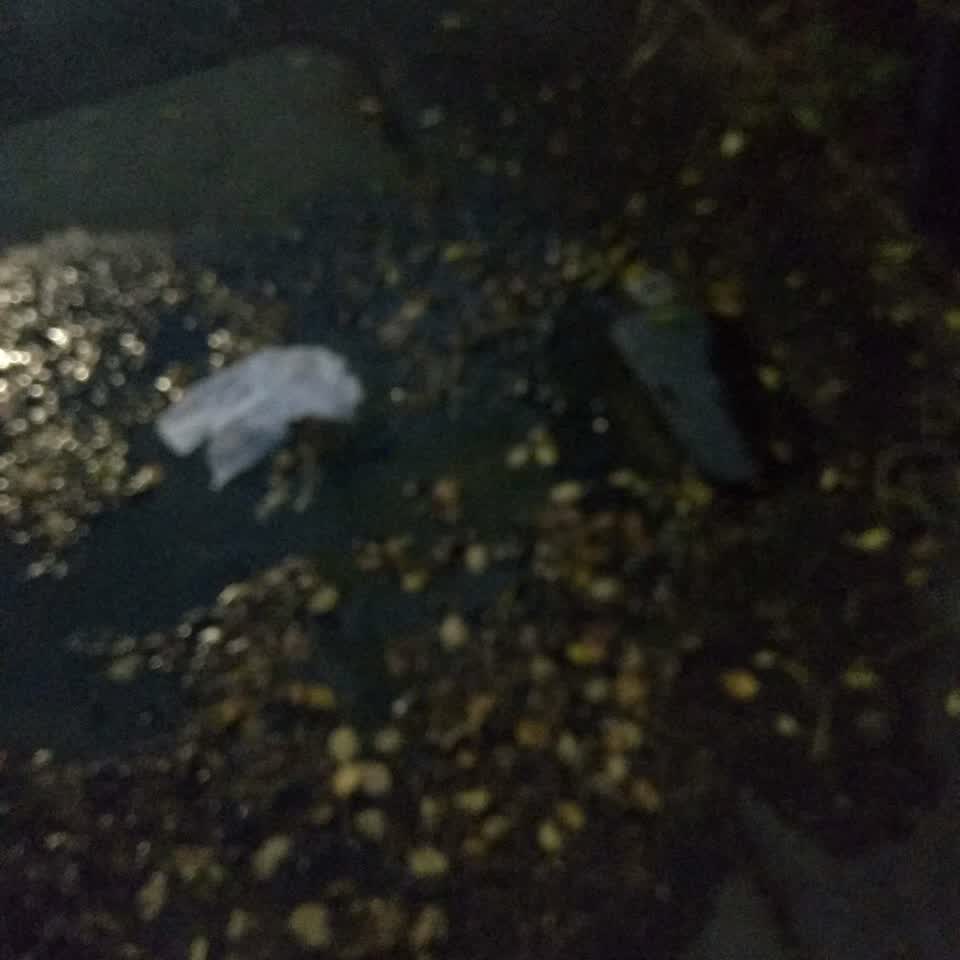 The photograph attached to this water supply report
