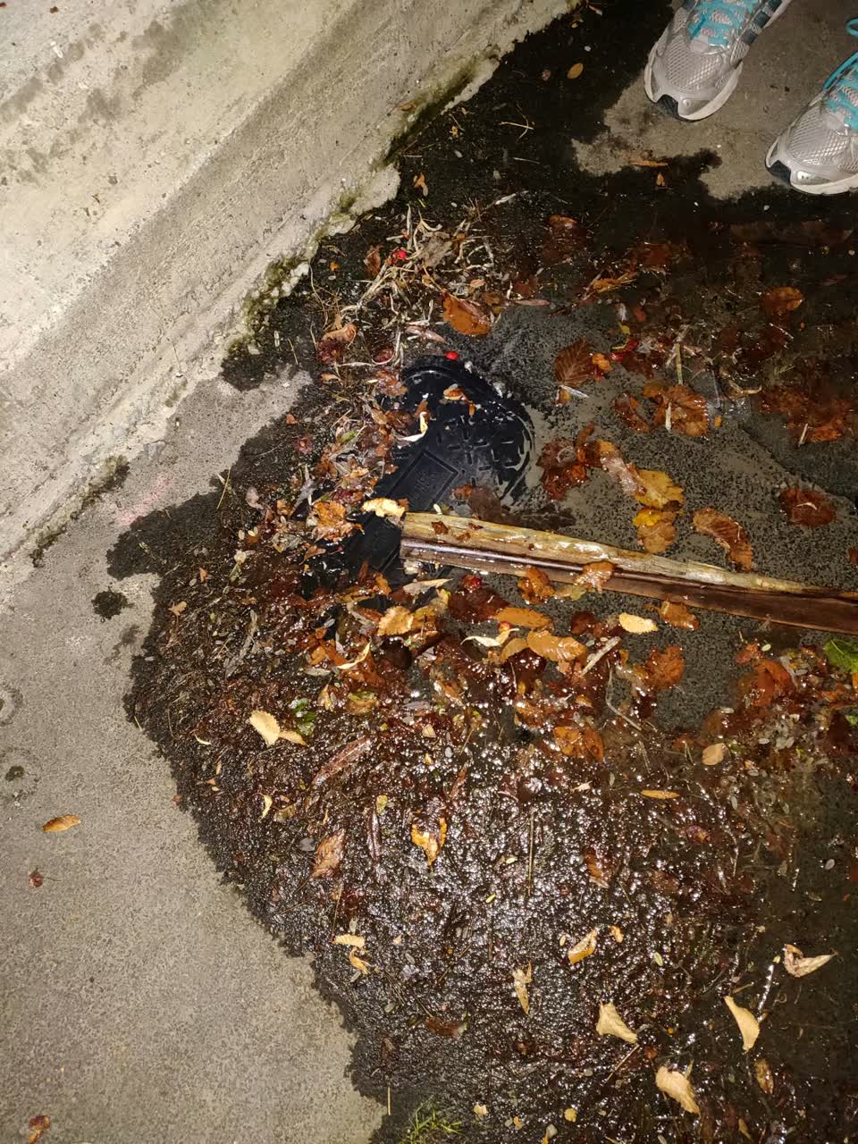 The photograph attached to this water supply report