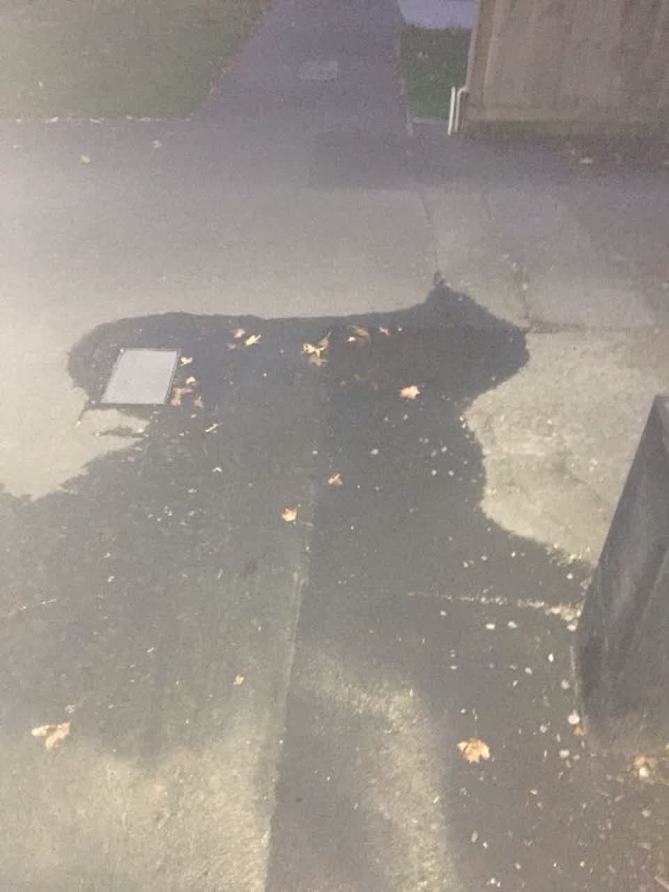 The photograph attached to this water supply report
