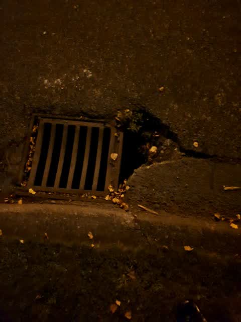 Roading/Streets, a report photo