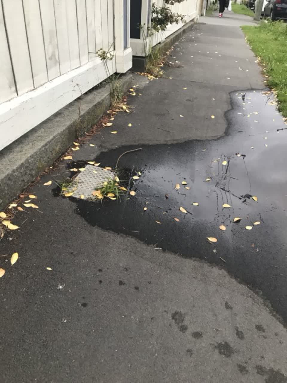 The photograph attached to this water supply report