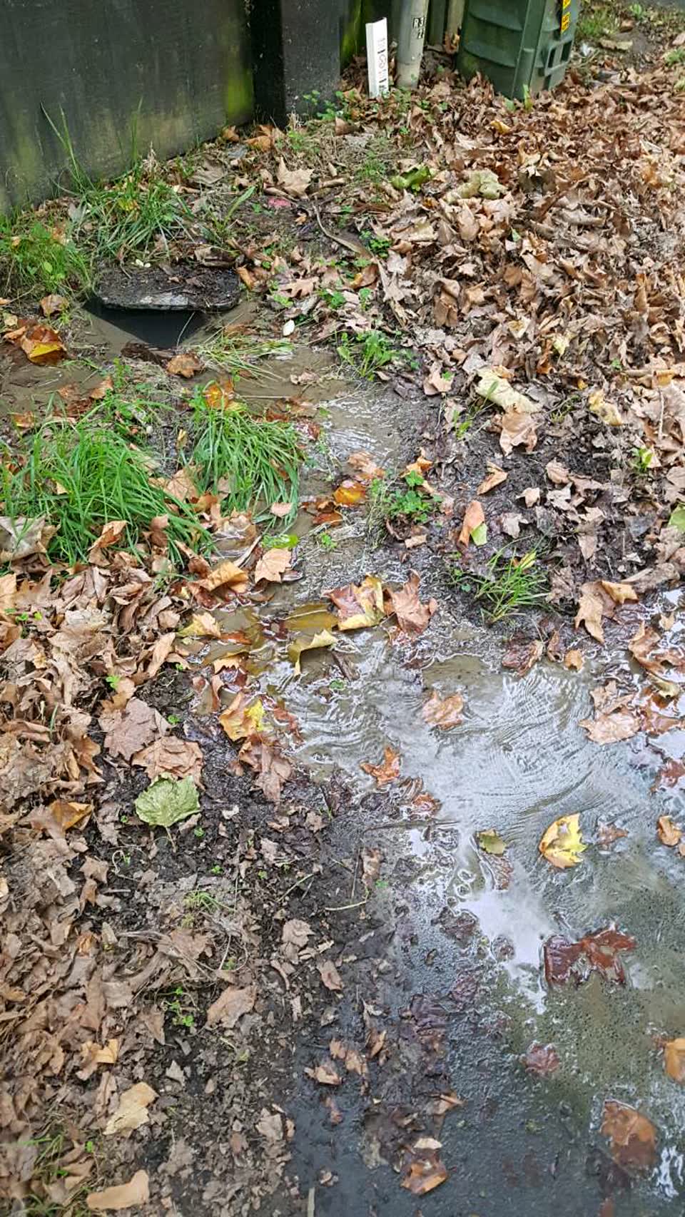 The photograph attached to this water supply report