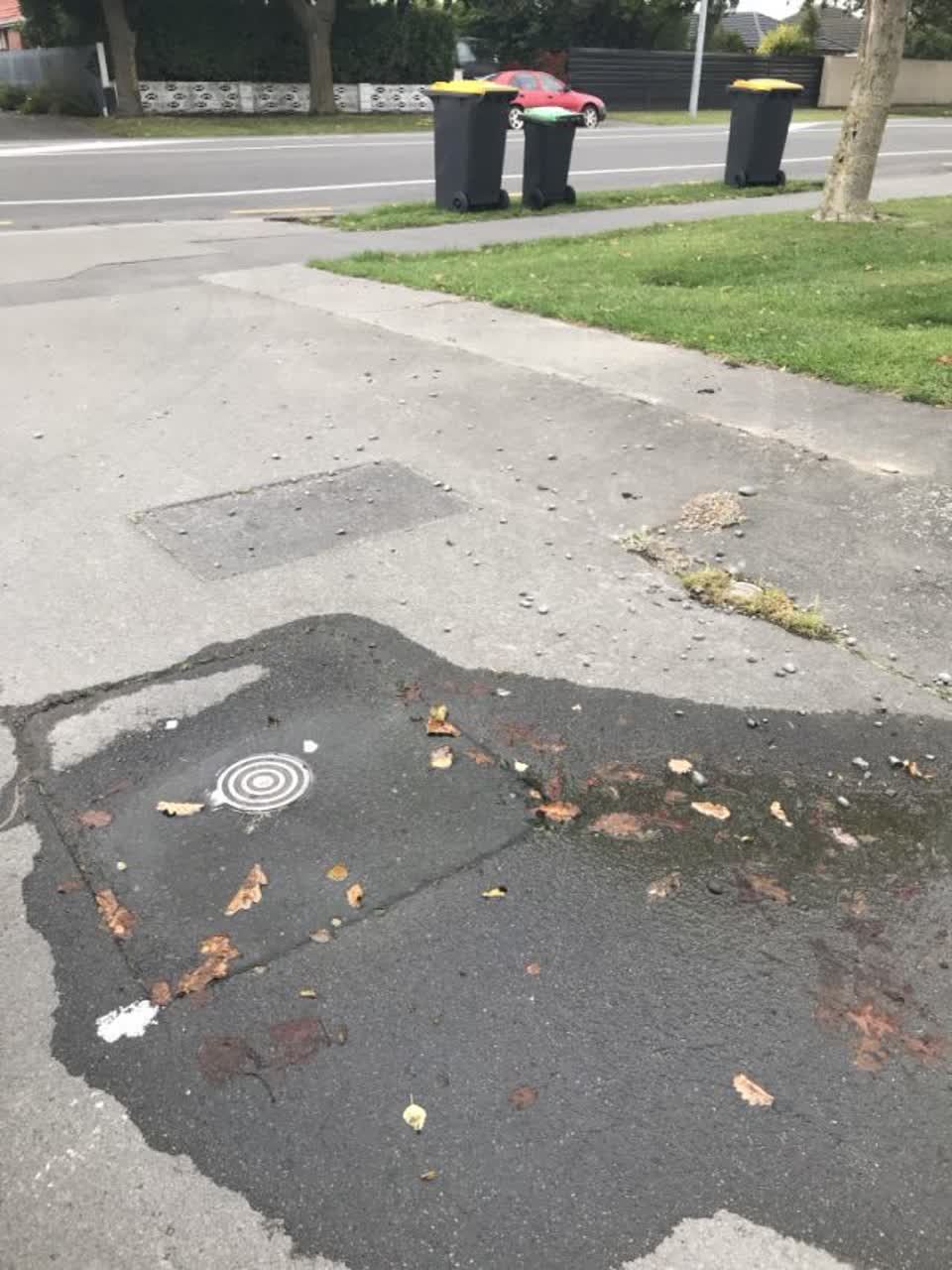The photograph attached to this wastewater/stormwater report