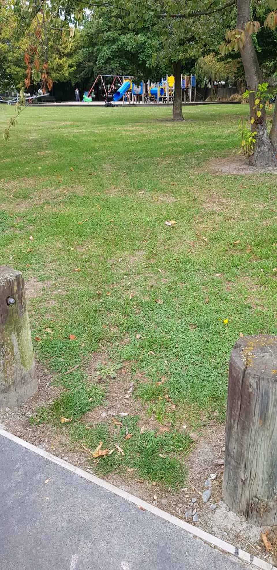 The photograph attached to this parks report