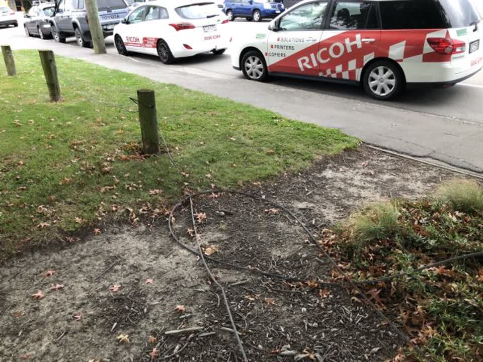 The photograph attached to this parks report