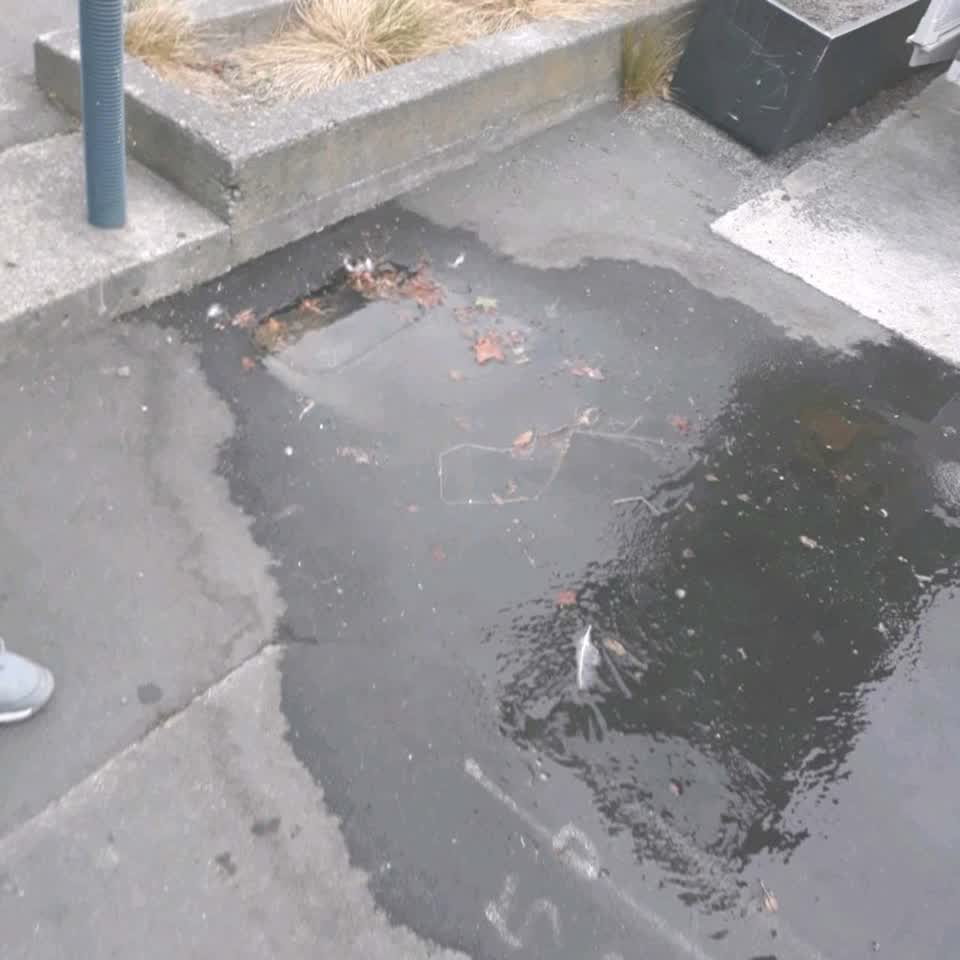 The photograph attached to this water supply report