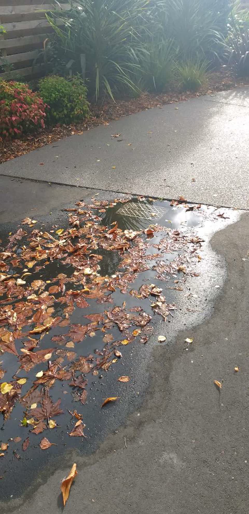 The photograph attached to this water supply report