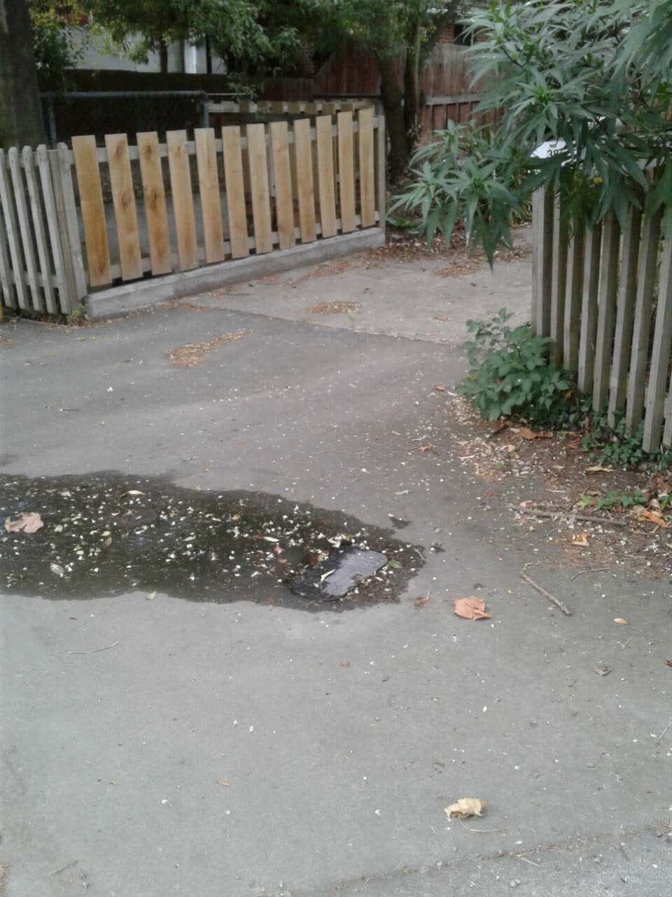 The photograph attached to this water supply report
