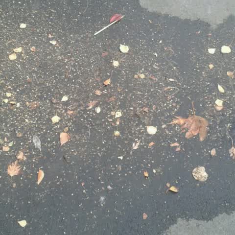 Wastewater/Stormwater, a report photo