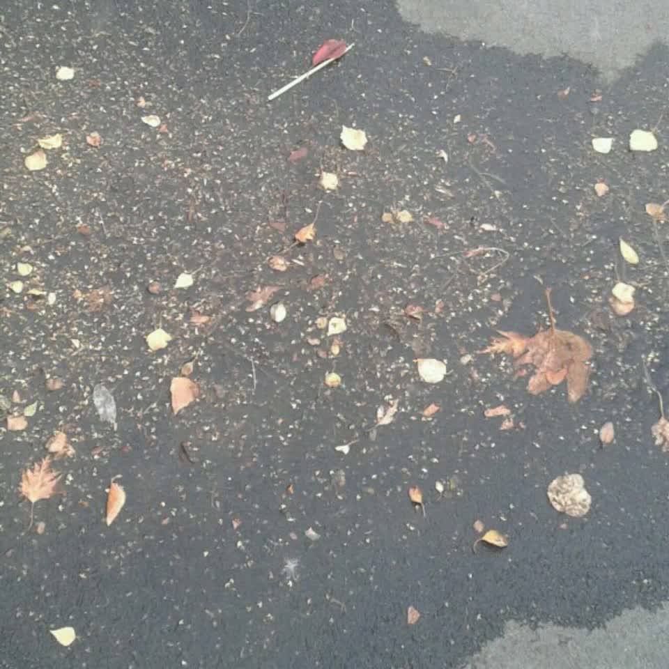 The photograph attached to this wastewater/stormwater report