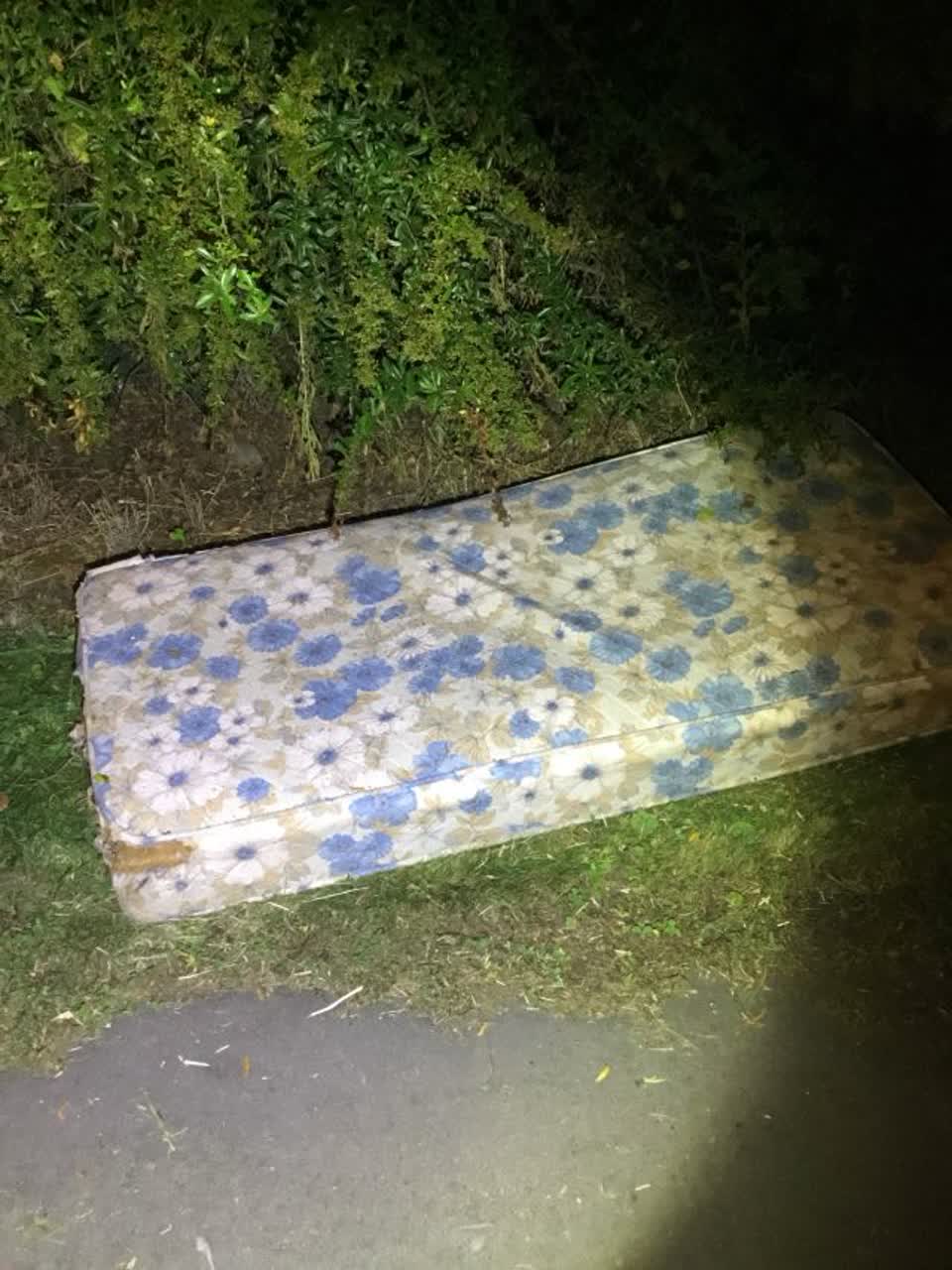 The photograph attached to this rubbish/recycling report