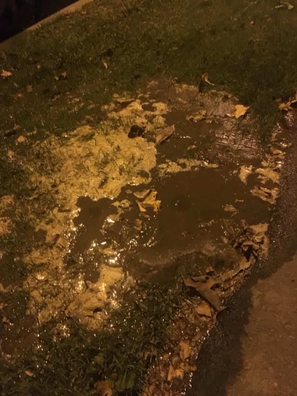 The photograph attached to this water supply report