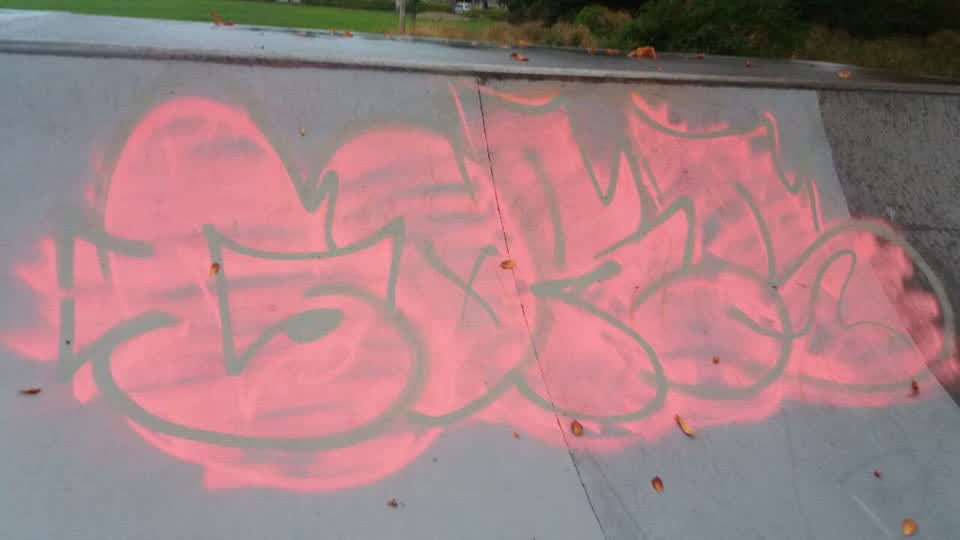The photograph attached to this graffiti report