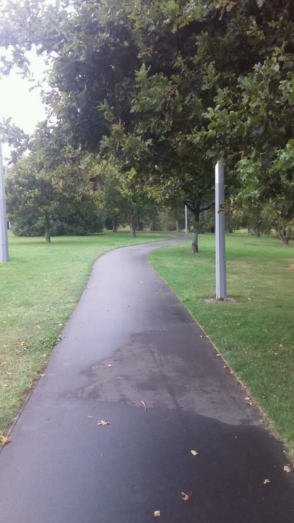 The photograph attached to this parks report