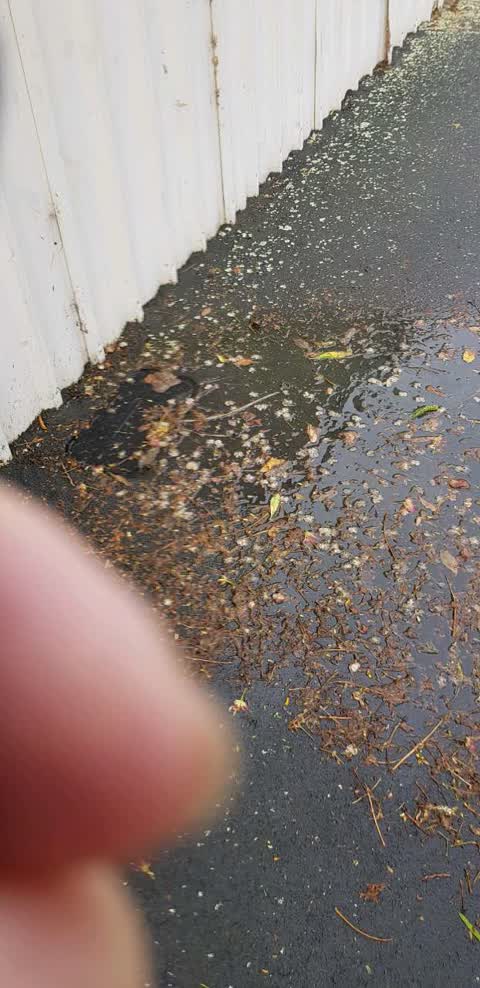 Water Supply, a report photo