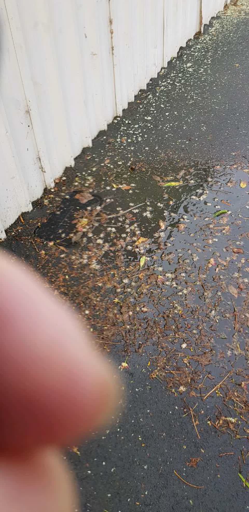 The photograph attached to this water supply report
