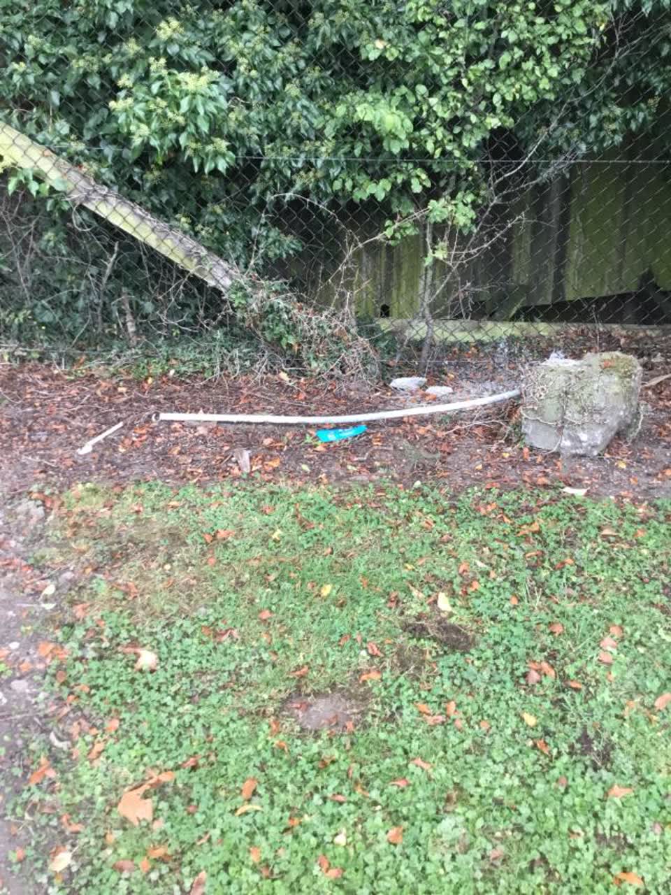 The photograph attached to this parks report