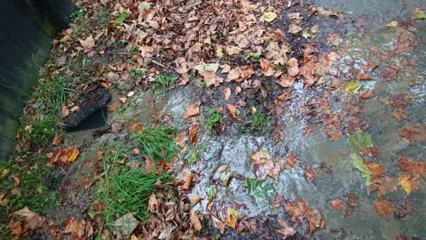Water Supply — a report photo