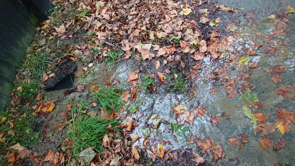 The photograph attached to this water supply report