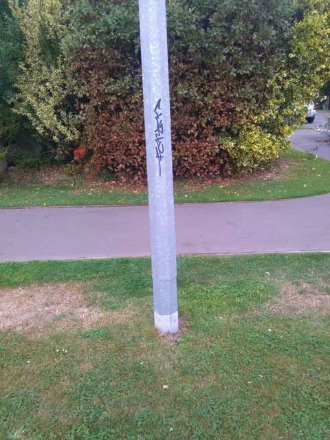 Graffiti, a report photo