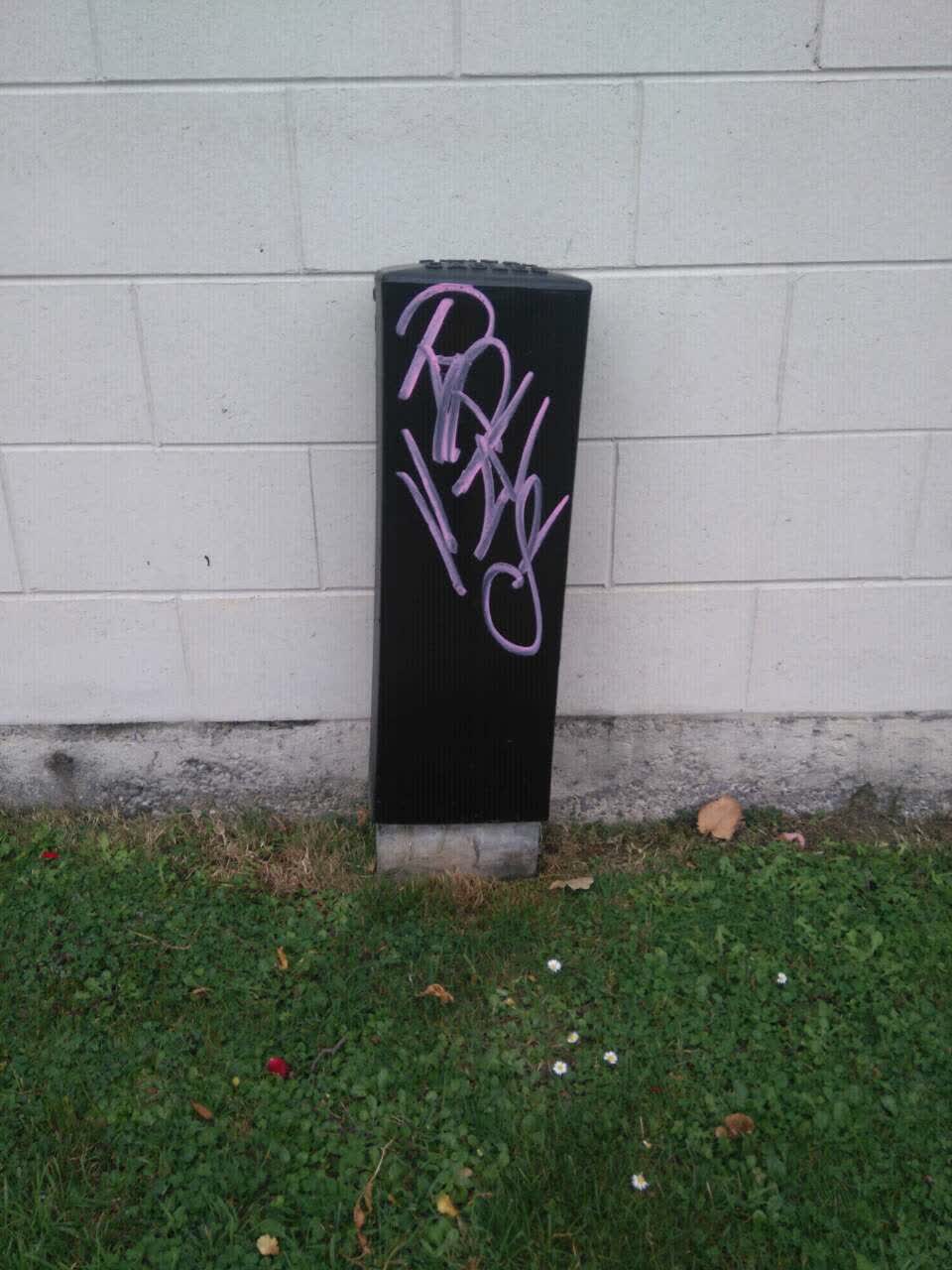 The photograph attached to this graffiti report