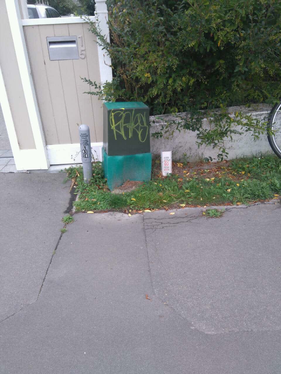 The photograph attached to this graffiti report
