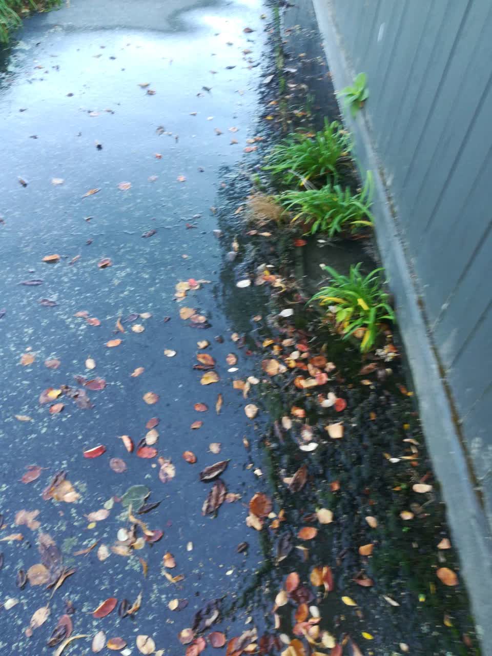 The photograph attached to this water supply report