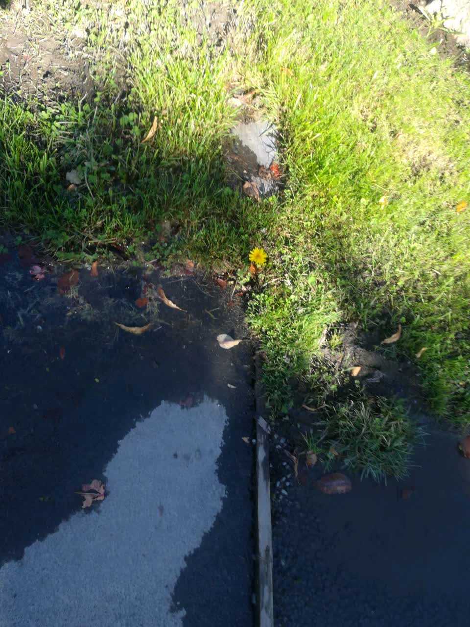 The photograph attached to this water supply report