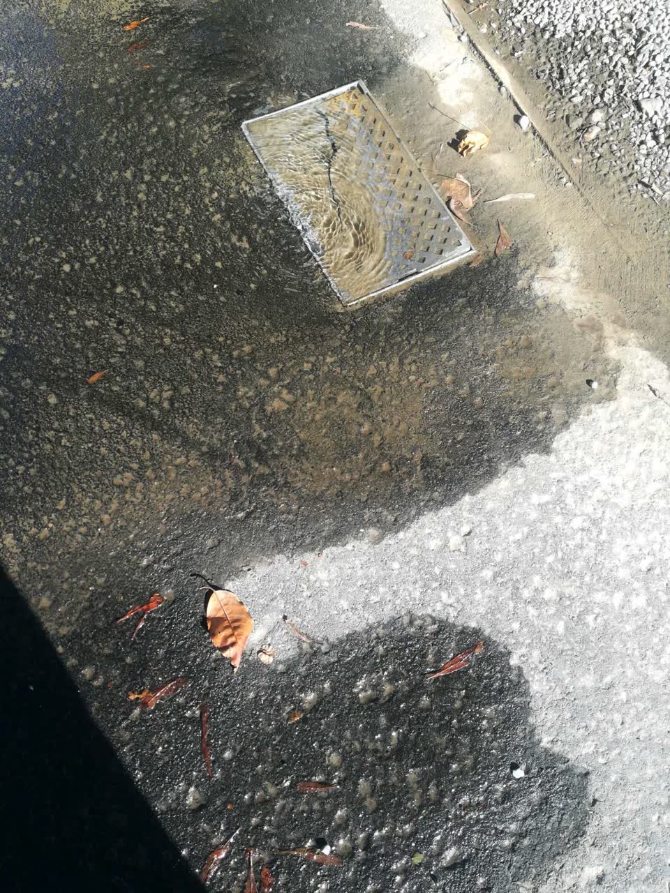 The photograph attached to this water supply report