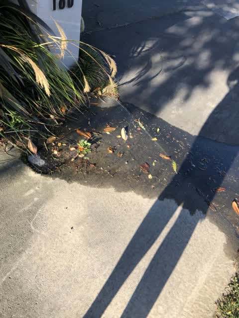 Water Supply, a report photo