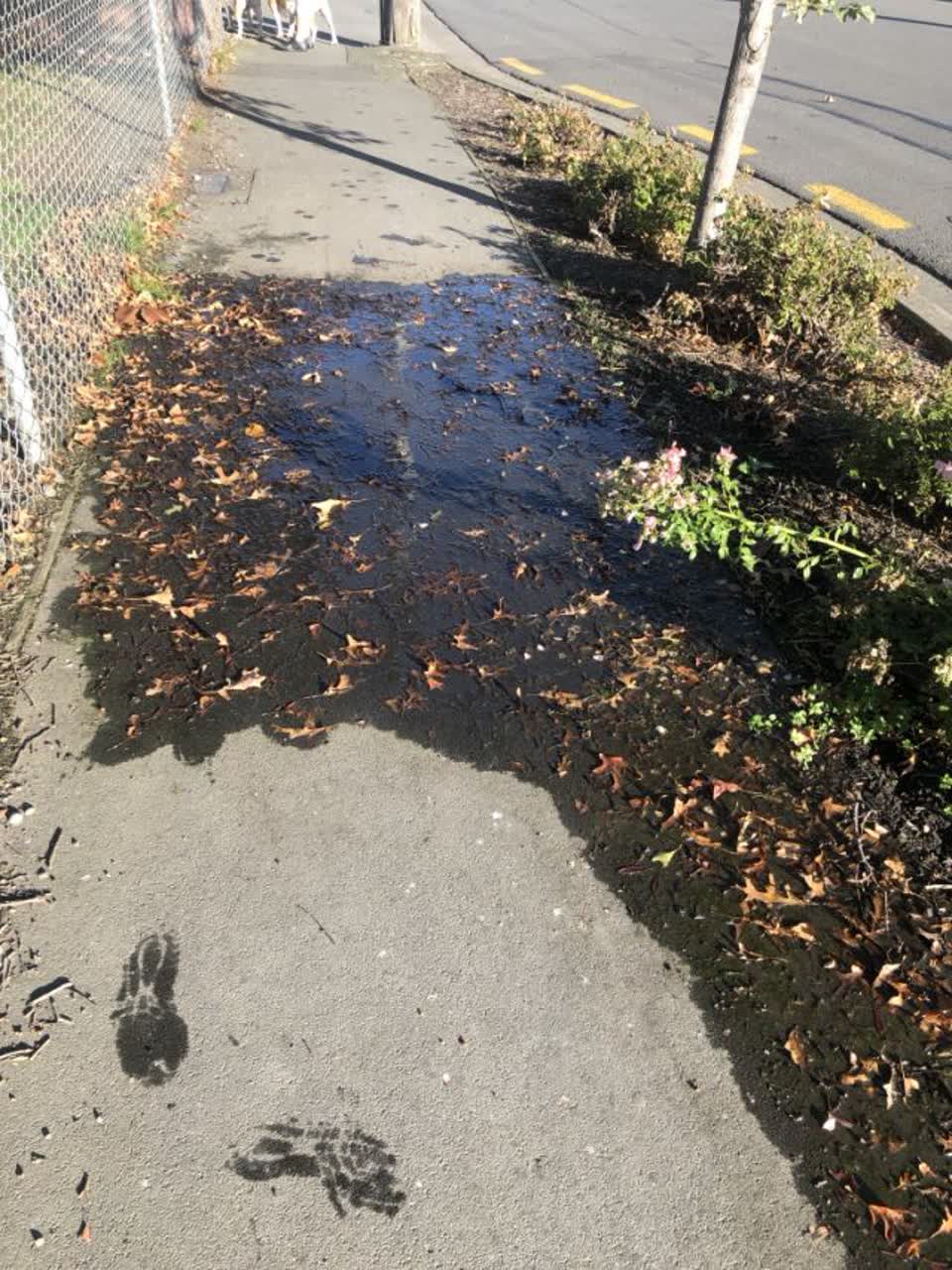 The photograph attached to this flooding report