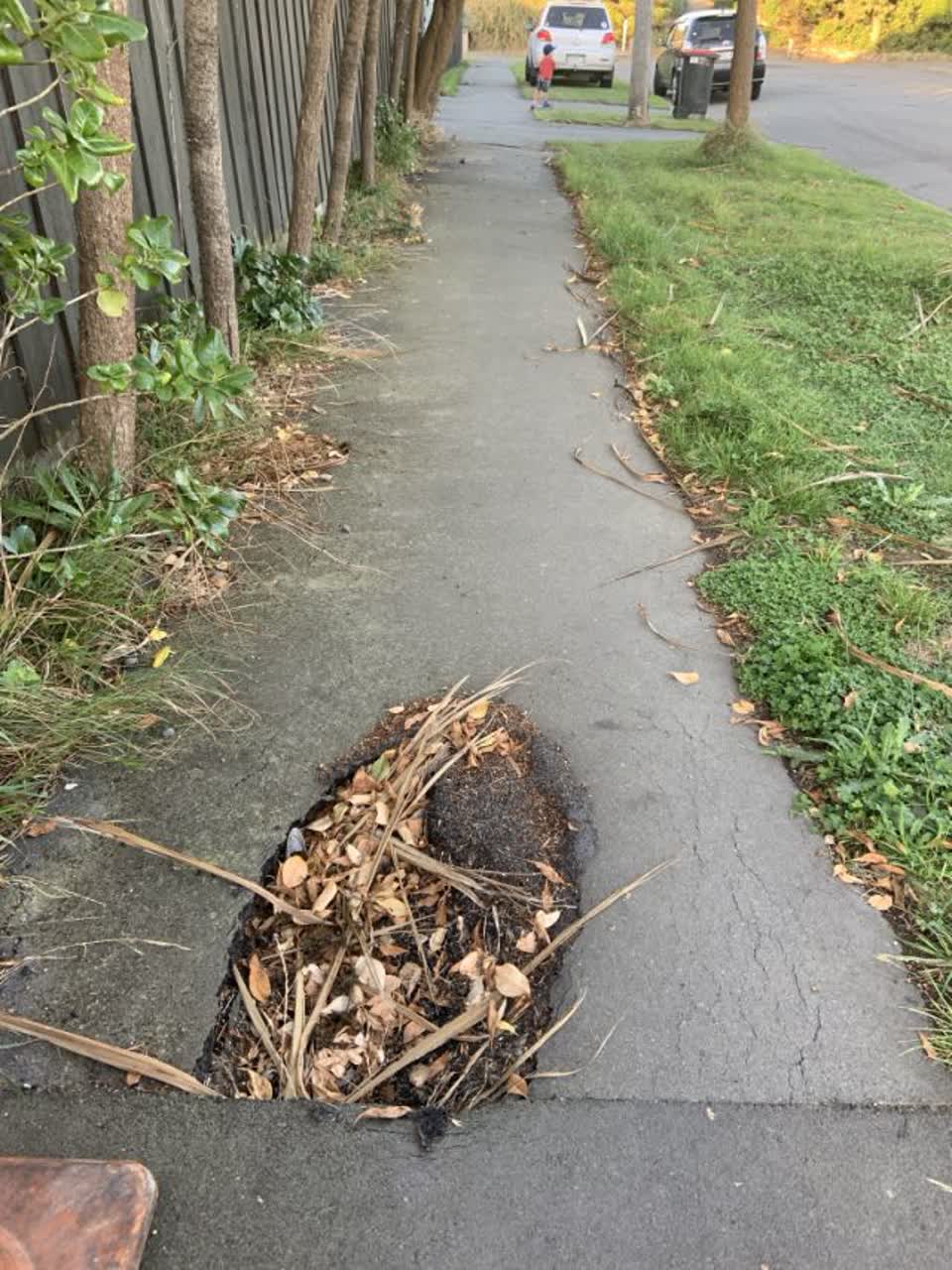 The photograph attached to this roading/streets report