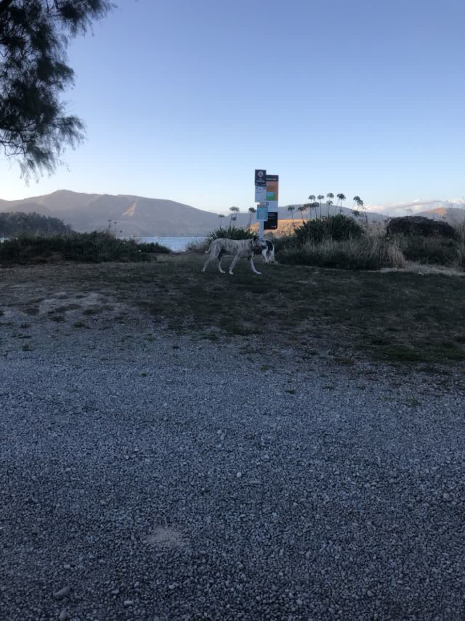 The photograph attached to this parks report
