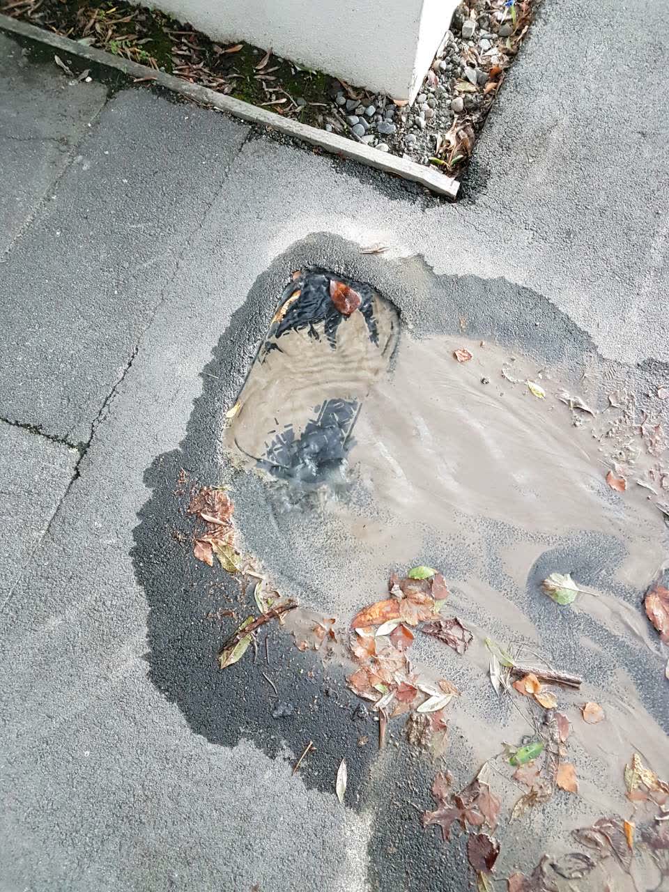 The photograph attached to this water supply report