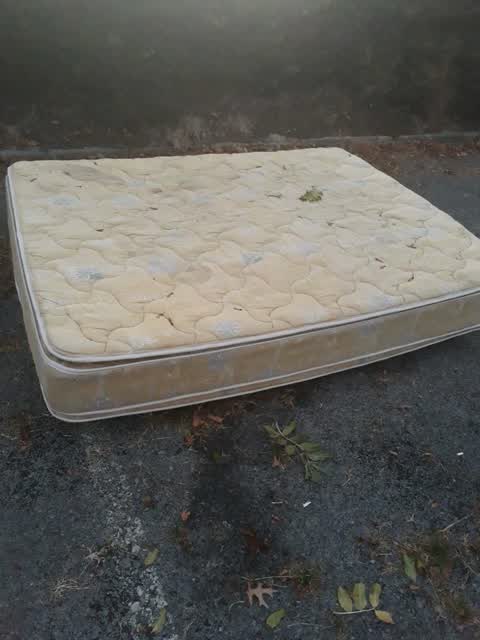 Rubbish/Recycling, a report photo