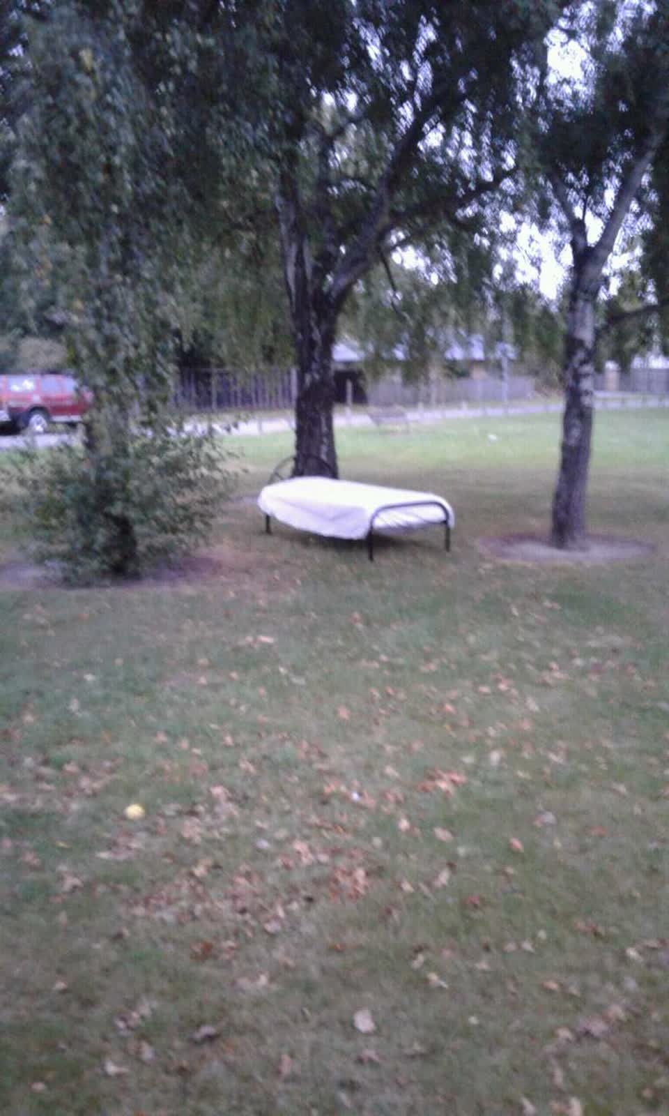 The photograph attached to this parks report