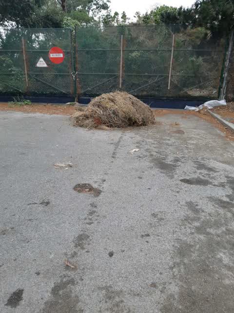 Rubbish/Recycling, a report photo