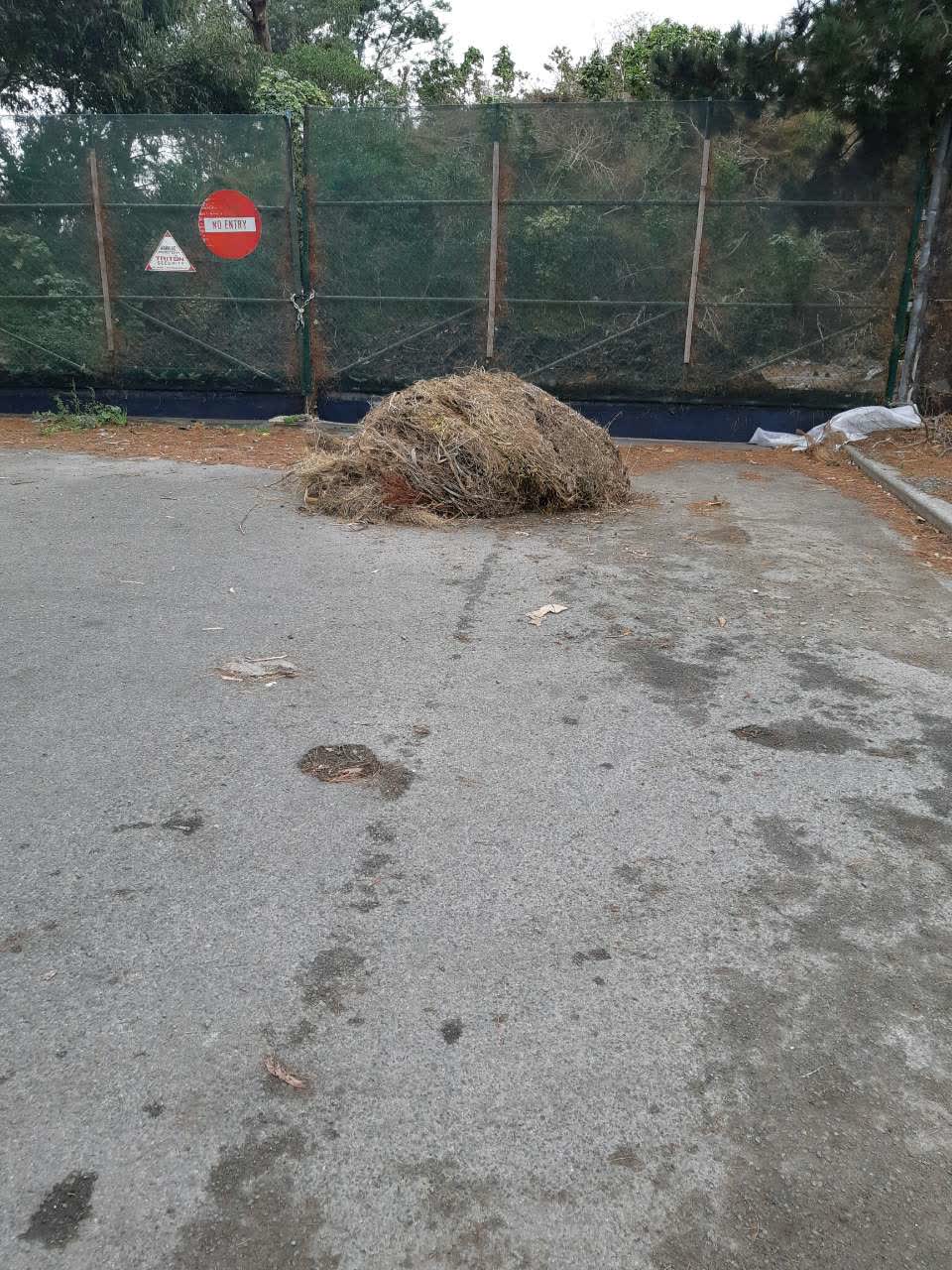 The photograph attached to this rubbish/recycling report