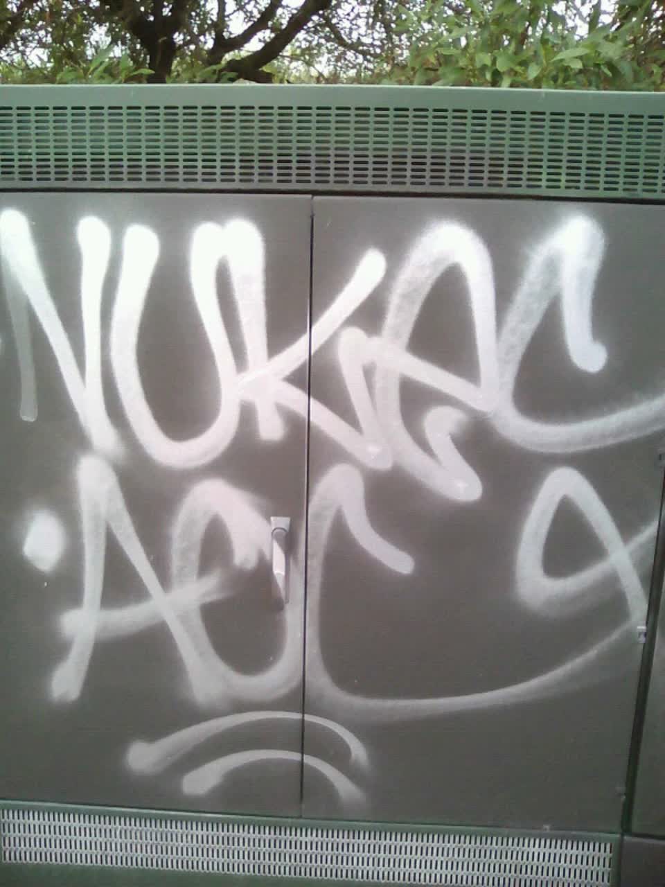 The photograph attached to this graffiti report