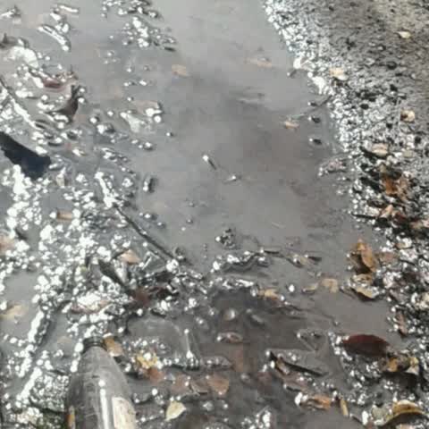 Wastewater/Stormwater, a report photo