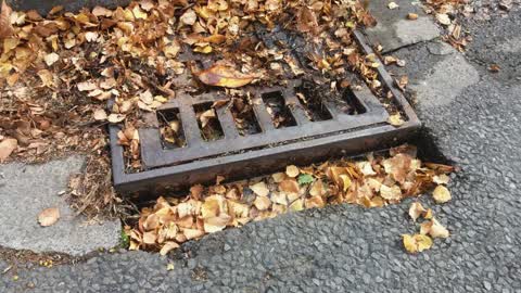 Roading/Streets, a report photo