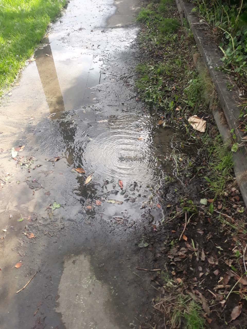 The photograph attached to this flooding report